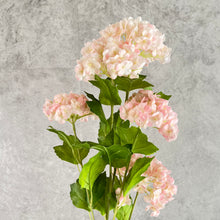 Load image into Gallery viewer, Hydrangea115 Pink
