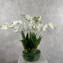 Load image into Gallery viewer, Orchid Bowl
