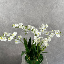 Load image into Gallery viewer, Orchid Bowl
