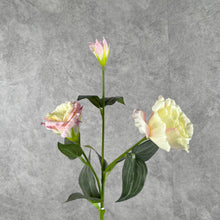 Load image into Gallery viewer, Lisianthus Artificial Silk Flower 70cm Stem LISIAN009-012
