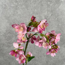 Load image into Gallery viewer, Cherry Blossom Artificial Silk Flower 52cm Stem Pink BLOSSOM002
