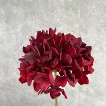 Load image into Gallery viewer, Hydrangea Burgundy
