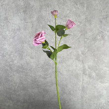Load image into Gallery viewer, Lisianthus Artificial Silk Flower 70cm Stem LISIAN009-012
