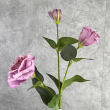 Load image into Gallery viewer, Lisianthus Artificial Silk Flower 70cm Stem LISIAN009-012
