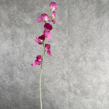 Load image into Gallery viewer, Sweetpea Artificial Silk Flower 62cm Rose Red SWEETPEA008
