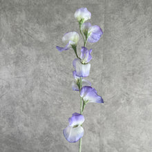Load image into Gallery viewer, Sweet pea Artificial Silk Flower 62cm Purple SWEETPEA006
