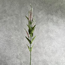 Load image into Gallery viewer, Sage Artificial Silk Flower Light Pink SAGE008
