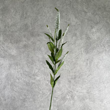 Load image into Gallery viewer, Sage Artificial Silk Flower White SAGE007

