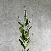 Load image into Gallery viewer, Sage Artificial Silk Flower White SAGE007

