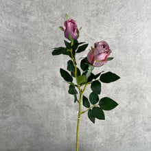 Load image into Gallery viewer, Bulgarian Rose Two Heads Artificial Silk Flowers Stem 8 colors selections005 purple
