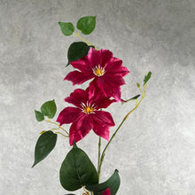 Load image into Gallery viewer, Clematis 3 Heads Artificial Silk Flowers 80cm Stem CLEMATIS0002 pink
