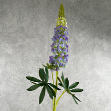 Load image into Gallery viewer, Lupine005 purple
