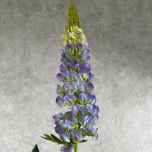 Load image into Gallery viewer, Lupine005 purple
