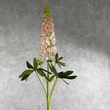 Load image into Gallery viewer, Lupine001
