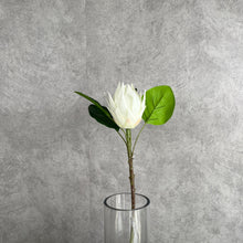 Load image into Gallery viewer, Protea Artificial Silk Flowers 55cm Stem PROTEA013 white
