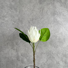 Load image into Gallery viewer, Protea Artificial Silk Flowers 55cm Stem PROTEA013 white
