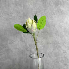 Load image into Gallery viewer, Protea Artificial Silk Flowers 55cm Stem PROTEA009 green
