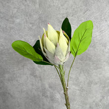 Load image into Gallery viewer, Protea Artificial Silk Flowers 55cm Stem PROTEA009 green
