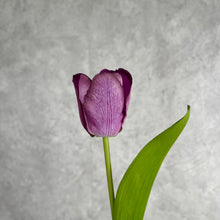 Load image into Gallery viewer, Tulip Artificial Real Touch Silk Flowers 36cm Stem 7 Color Selections TULIP017 short purple
