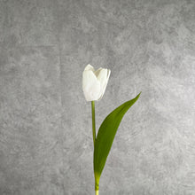 Load image into Gallery viewer, Tulip Artificial Real Touch Silk Flowers 36cm Stem 7 Color Selections TULIP022 short white
