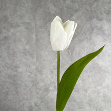 Load image into Gallery viewer, Tulip Artificial Real Touch Silk Flowers 36cm Stem 7 Color Selections TULIP022 short white
