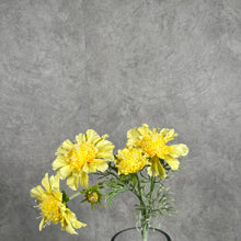 Load image into Gallery viewer, Scabiosa Artificial Silk Flower 4 Color Selections SCABIOSA3 yellow
