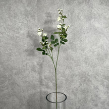 Load image into Gallery viewer, Multiflorarose rose Artificial Flower Stem White MULTIFLORAROSE001
