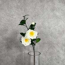 Load image into Gallery viewer, Camellia white
