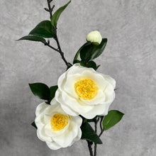Load image into Gallery viewer, Camellia white
