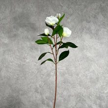 Load image into Gallery viewer, Gardenia Artificial Silk Flower 61cm Stem White GARDENIA0001
