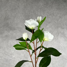 Load image into Gallery viewer, Gardenia Artificial Silk Flower 61cm Stem White GARDENIA0001
