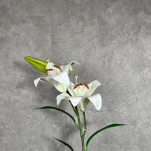 Load image into Gallery viewer, Oriental Lily 3 Heads 3D Printed Artificial Silk Flowers Stem LILY003 white
