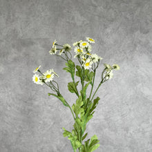 Load image into Gallery viewer, Daisy Chamomile Artificial Silk Flower 54cm Stem White DAISY012
