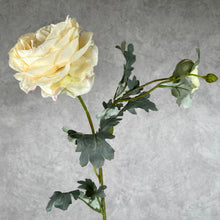 Load image into Gallery viewer, Ranunculus Artificial Silk Flower Stem White RANUNCULUS011
