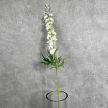 Load image into Gallery viewer, Delphinium White
