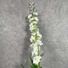 Load image into Gallery viewer, Delphinium White
