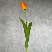 Load image into Gallery viewer, Tulip Artificial Real Touch Silk Flowers 68cm Stem TULIP002 orange
