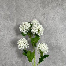 Load image into Gallery viewer, Snowball 5 Heads Artificial Silk Flower 78cm SNOWBALL001 white
