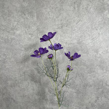 Load image into Gallery viewer, Cosmos Flower Artificial Silk 60cm 15 Colour Selections COSMO013 purple

