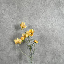 Load image into Gallery viewer, Cosmos Flower Artificial Silk 60cm 15 Colour Selections COSMO003 yellow
