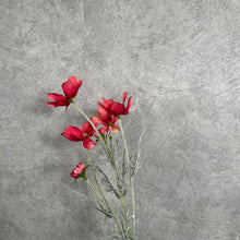 Load image into Gallery viewer, Cosmos Flower Artificial Silk 60cm 15 Colour Selections COSMO002 coral red
