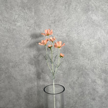 Load image into Gallery viewer, Cosmos Flower Artificial Silk 60cm 15 Colour Selections COSMO005 coral
