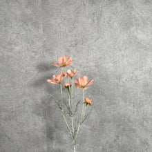 Load image into Gallery viewer, Cosmos Flower Artificial Silk 60cm 15 Colour Selections COSMO005 coral
