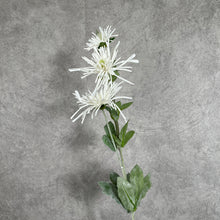 Load image into Gallery viewer, Chrysanthemum Artificial Silk Flower 80cm Stem 6 Color Selections CHRYS001 white
