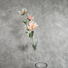 Load image into Gallery viewer, Chrysanthemum Artificial Silk Flower 80cm Stem 6 Color Selections CHRYS007 peach
