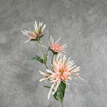 Load image into Gallery viewer, Chrysanthemum Artificial Silk Flower 80cm Stem 6 Color Selections CHRYS007 peach
