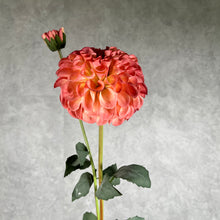 Load image into Gallery viewer, Dahlia Two Heads Artificial Silk Flower 70cm DAHLIA012 pink coral
