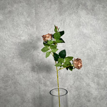 Load image into Gallery viewer, Austin Rose 3 Heads Artificial Flower Stem cappuccino
