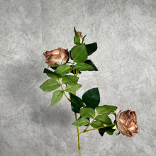 Load image into Gallery viewer, Austin Rose 3 Heads Artificial Flower Stem cappuccino
