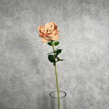 Load image into Gallery viewer, Rose Austin 72cm Single Heads Artificial Flower Stem champagne
